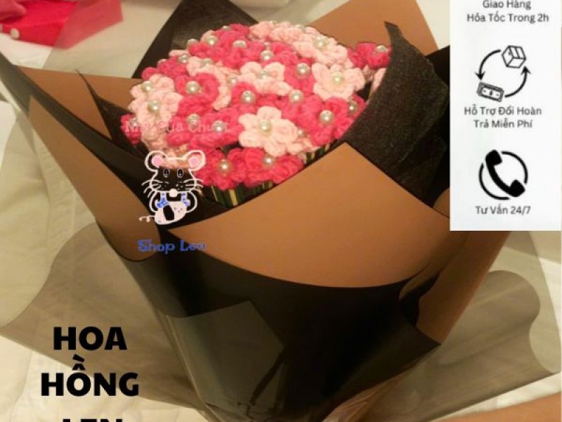Hoa Hồng Len