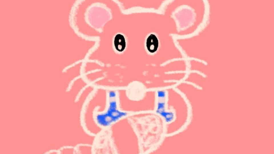 Chính sách Nhà Của Chuột